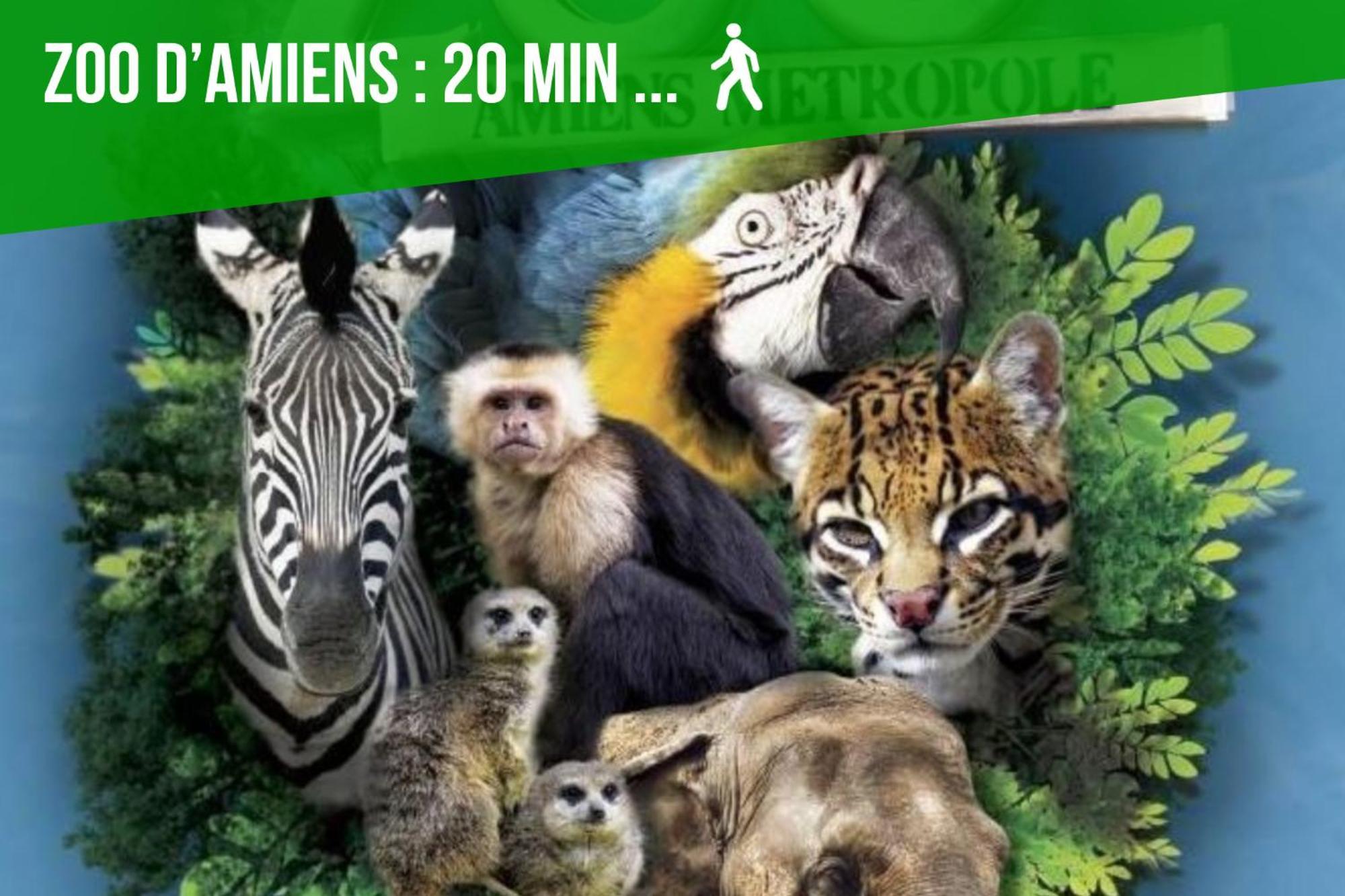 La Jungle Insolite, Spa, Ecran Cinema, Lit A Baldaquin King Size, Day Use, 10 Min Centre Amiens Exterior foto
